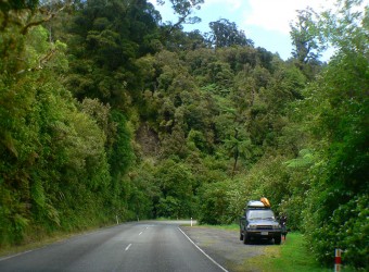 Леса и горы Новой Зеландии