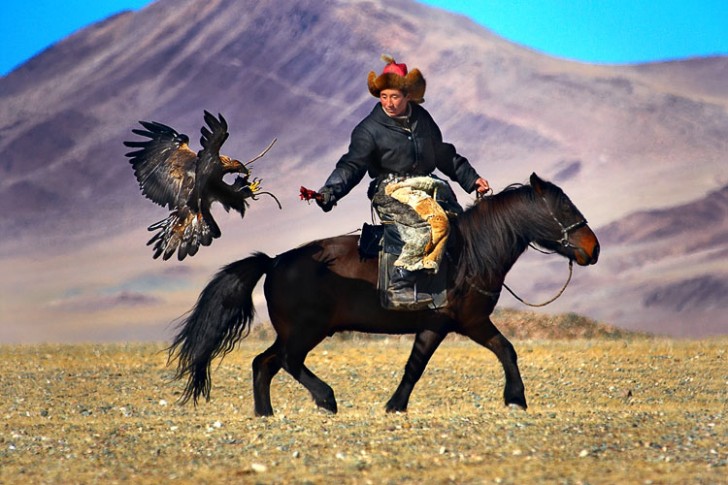 Охота в Монголии
